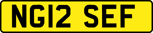NG12SEF