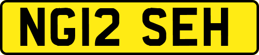 NG12SEH