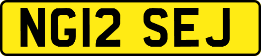NG12SEJ