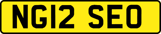 NG12SEO