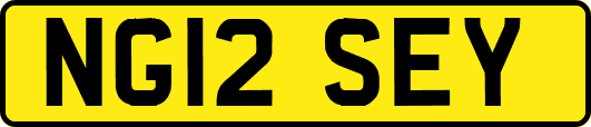 NG12SEY