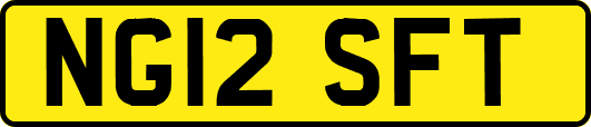 NG12SFT