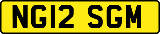 NG12SGM