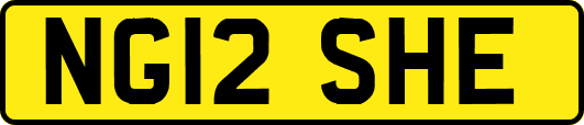 NG12SHE