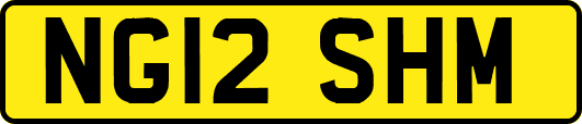 NG12SHM