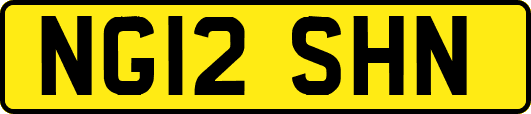 NG12SHN