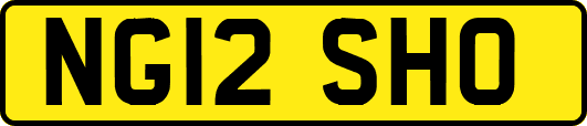 NG12SHO