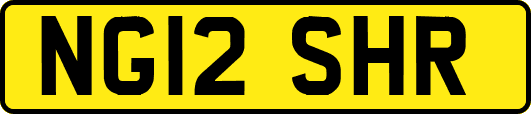NG12SHR