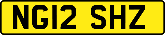 NG12SHZ