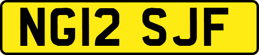 NG12SJF