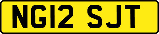 NG12SJT