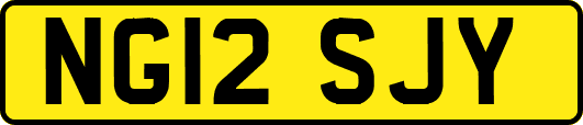 NG12SJY