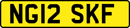 NG12SKF