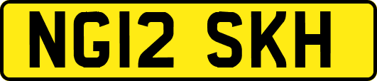 NG12SKH
