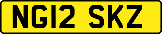 NG12SKZ