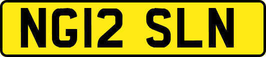 NG12SLN