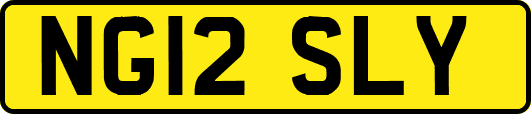 NG12SLY