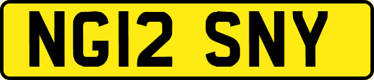 NG12SNY