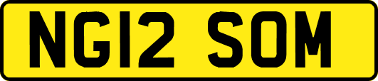 NG12SOM