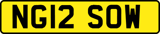 NG12SOW