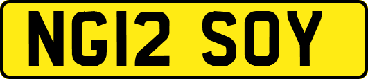 NG12SOY