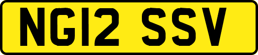 NG12SSV