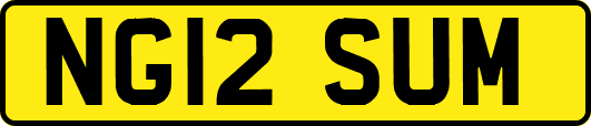 NG12SUM