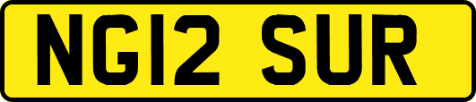 NG12SUR