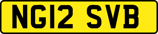 NG12SVB