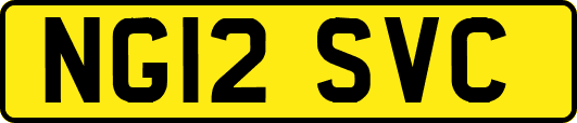 NG12SVC