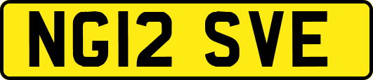 NG12SVE