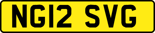 NG12SVG