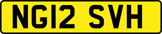 NG12SVH