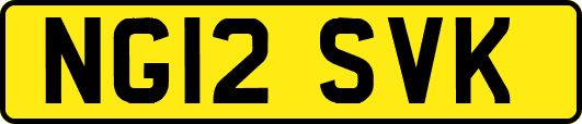 NG12SVK