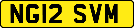 NG12SVM