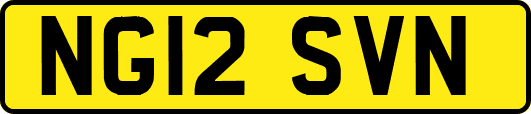 NG12SVN