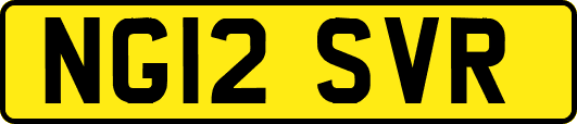 NG12SVR