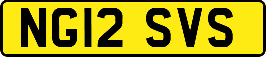 NG12SVS