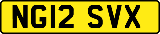 NG12SVX