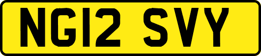 NG12SVY