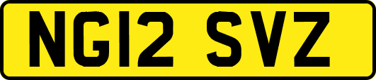 NG12SVZ