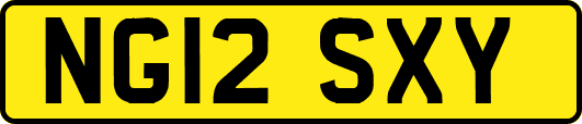 NG12SXY