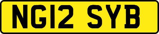 NG12SYB
