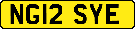 NG12SYE