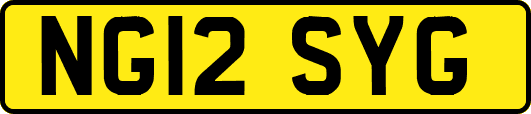 NG12SYG