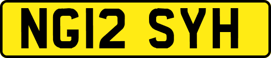 NG12SYH