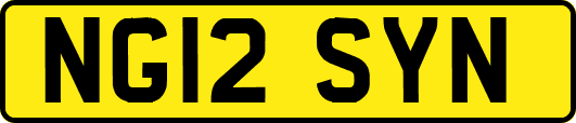 NG12SYN