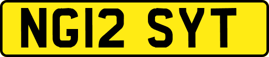 NG12SYT