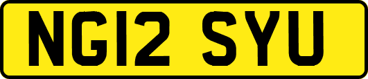 NG12SYU