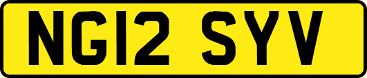 NG12SYV